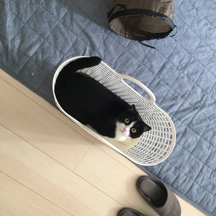 Ad74bcaa fc75 4599 ba58 a81c4ff517d1 1599972381216