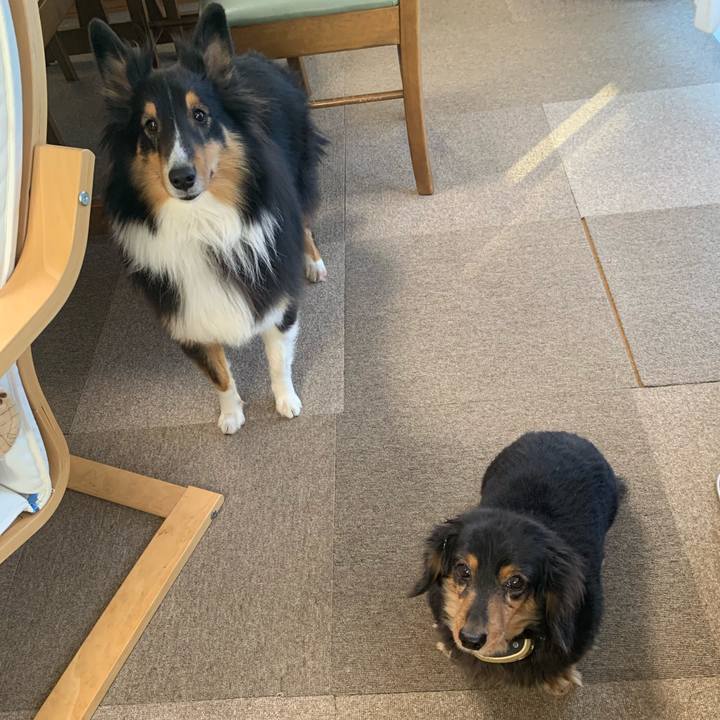 Ad750101 2002 4046 aa8c bf32f37c291a 1577919202013