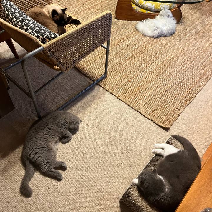 Ad751754 1c5f 4f89 aa7f f26e67789ab2 1688743438746