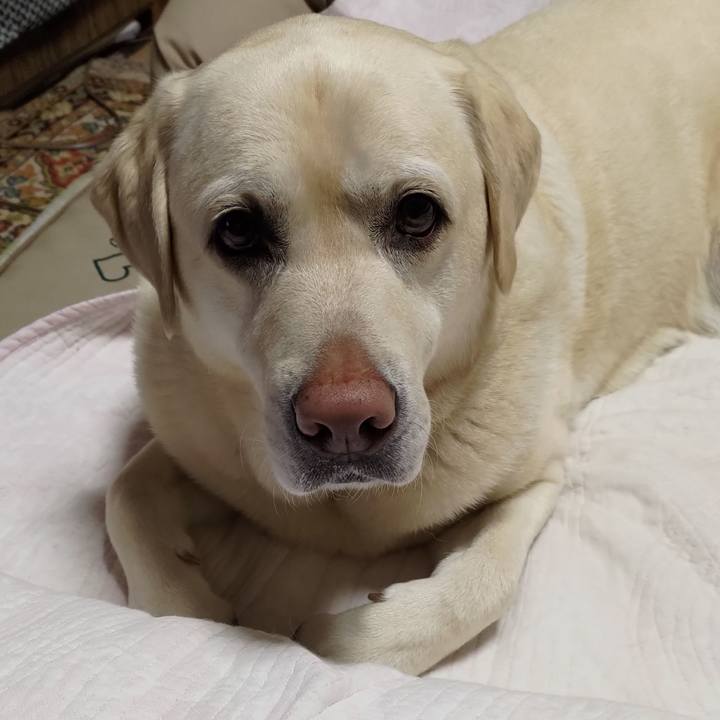 Ad75243e ab56 4068 9c3e b15814e43a0f 1682308388328