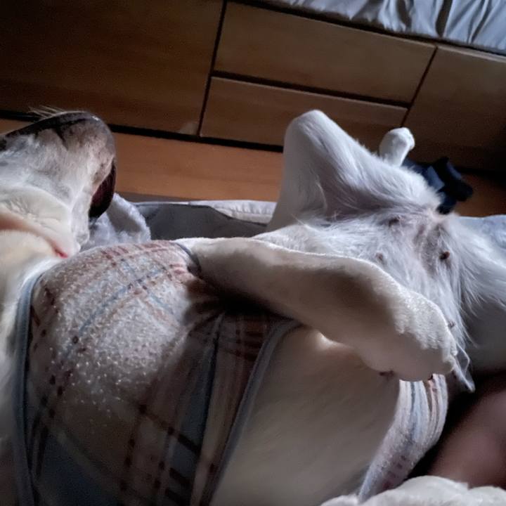 Ad752e04 53f4 4240 a8f1 ba95d0a677d3 1635371010089