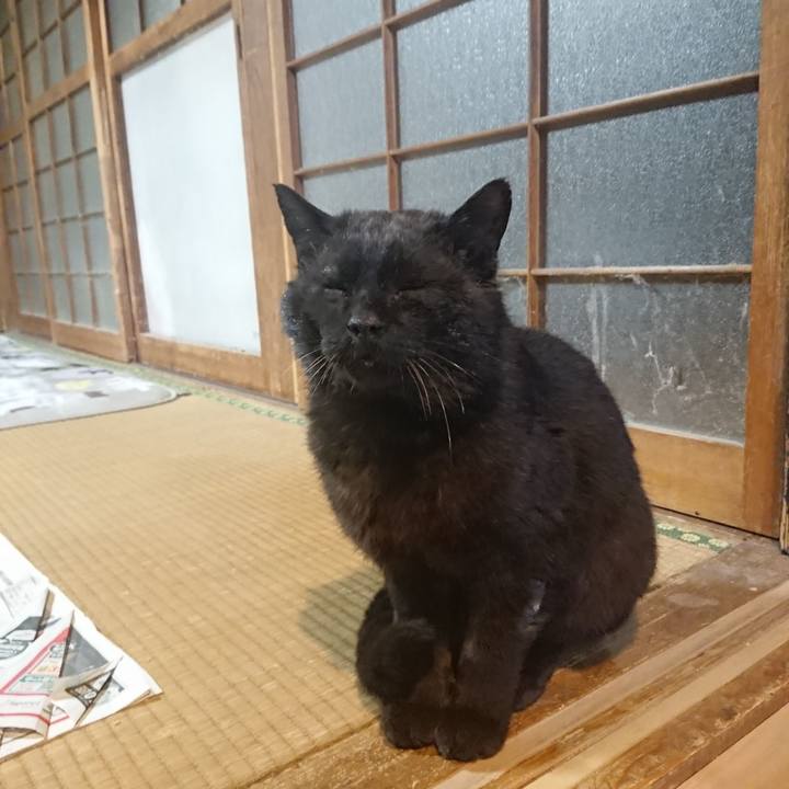 Ad75527c 1aa6 414b 8323 817e88e7086d 1619436109636