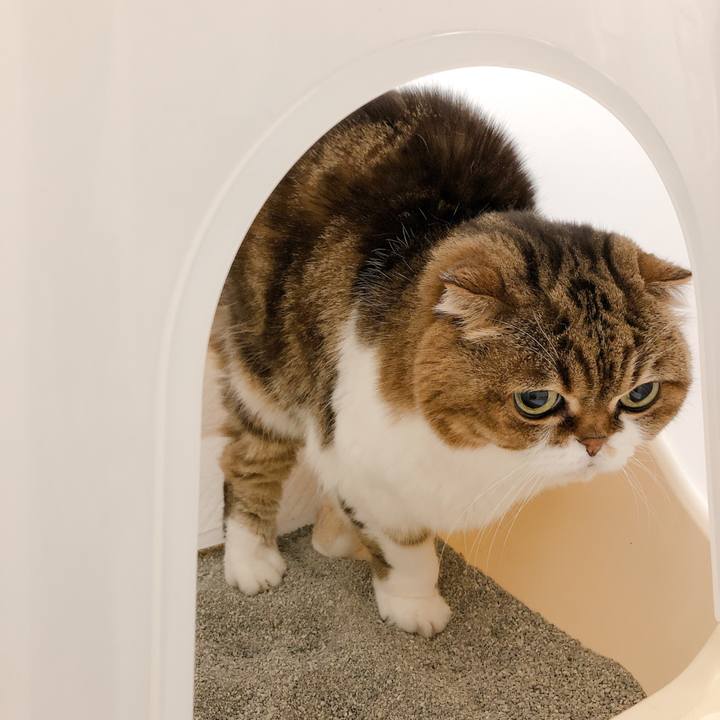 Ad756781 1f5d 4c38 b83e 0370cb03aadf 1576857971079