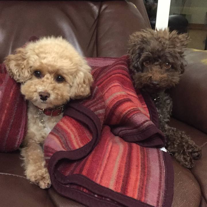 Ad7576d3 5241 4fcb 981e 293173ea15ec 1529100816002