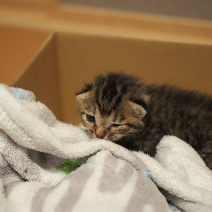 Ad75807b f317 4acb 90dc 64e2a0fa8d77 1558622349392