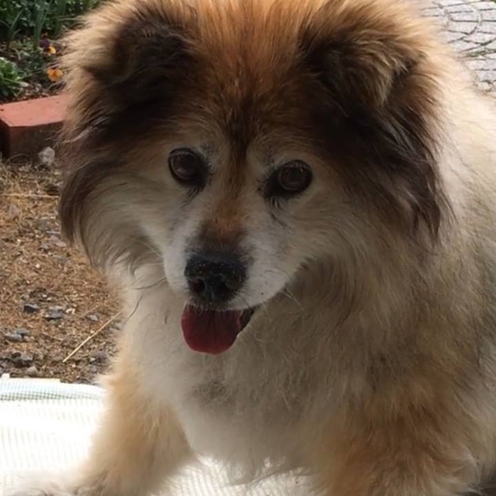 Ad759f5a 6465 4df9 86a9 a36593bf1ce6 1602033684950