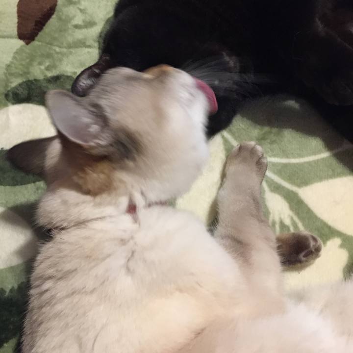 Ad75b62a 175b 4789 b616 6f82f2bee0de 1579991269431