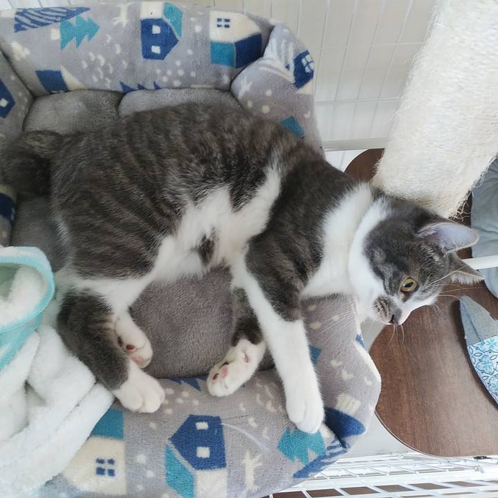 Ad75c17c 2b6c 4b87 ad31 cbc9540b4ffd 1575426546784