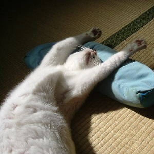 Ad75ca05 55e4 4c59 9dc3 1b0bec0620a5 1698360964238