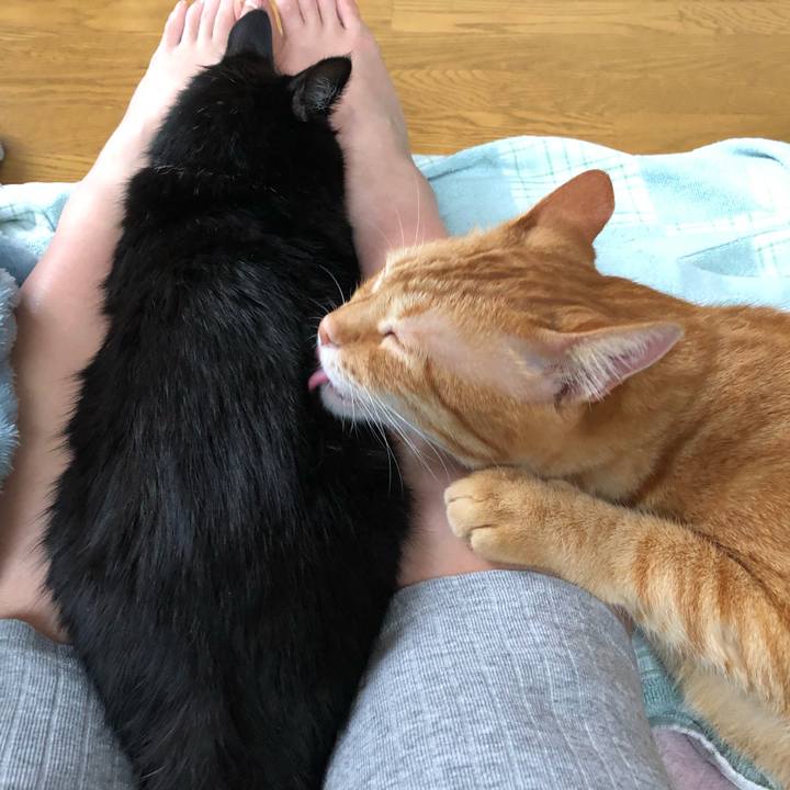 Ad75fe4c 72f6 4b22 826e 1ceceee563d2 1563090069713