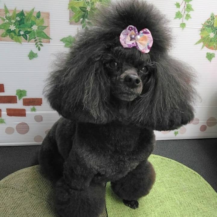 Ad764c75 9d4a 4a7f ac5c e7a4c791eda7 1651465248863