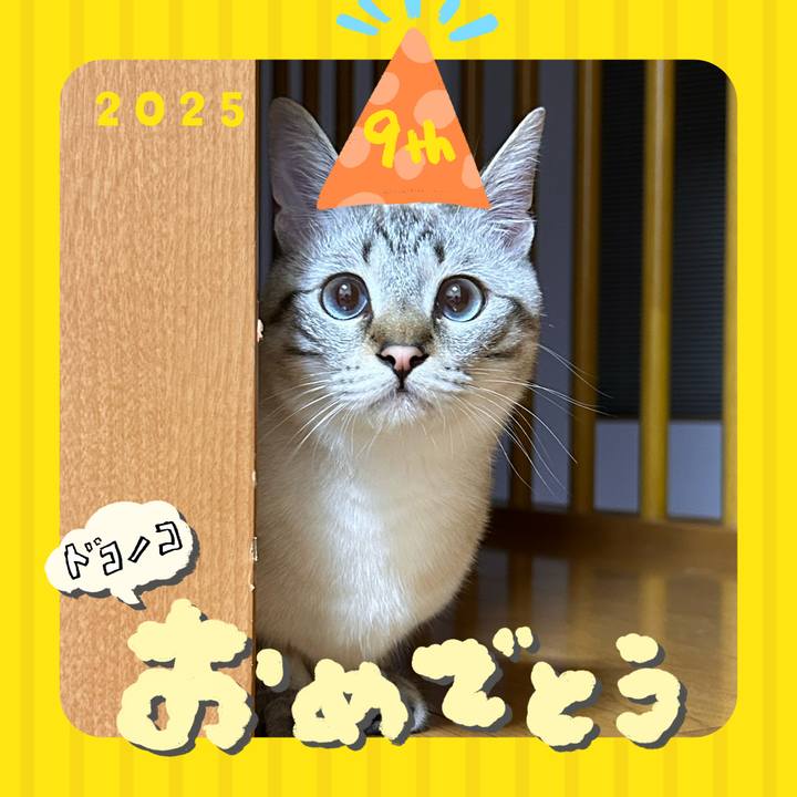 Ad76556f 18b7 40d0 a1ac 35ab0bb856d8 1749387836518