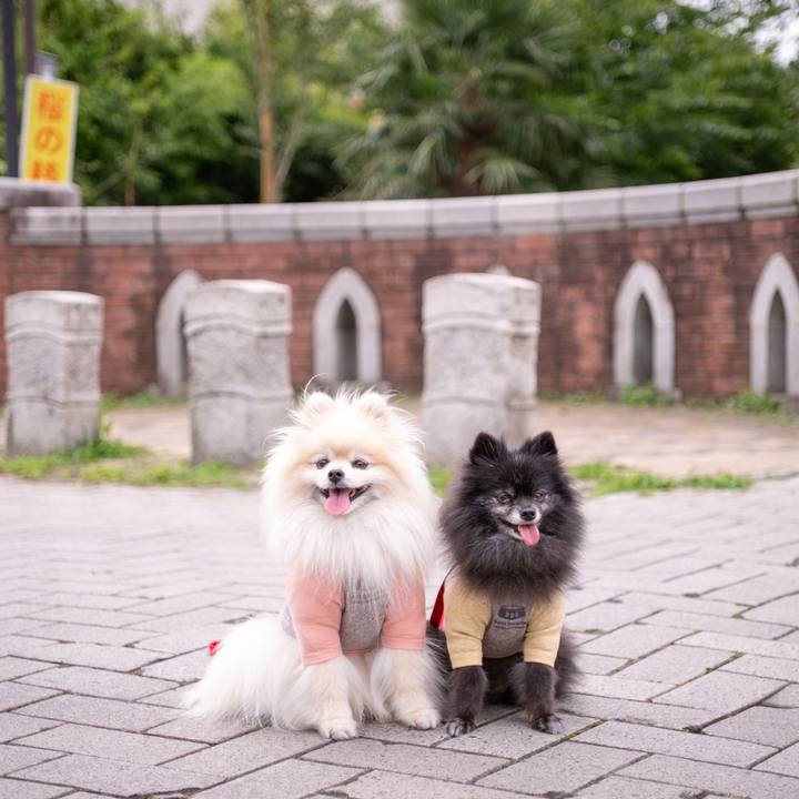 Ad7670c3 5f0a 4fc0 bae9 03c19bafd612 1625271900366