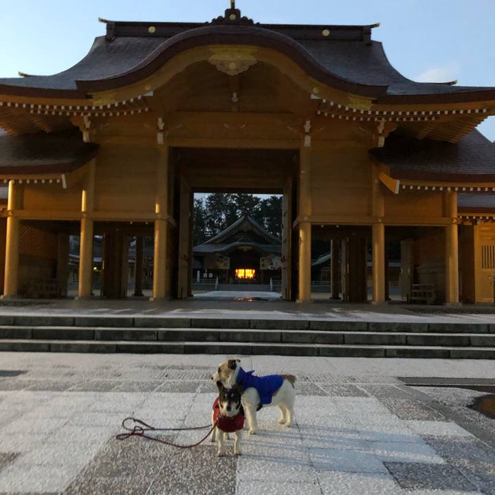 Ad76772c 14b2 420a 9821 62ce4daf1a31 1548281797101