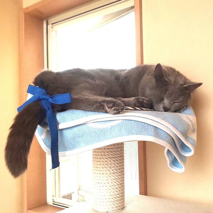 Ad76aa55 61ea 446d a58e d02fe676a974 1559105487084