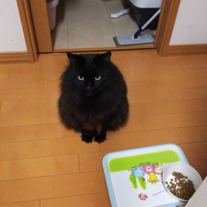 Ad7755db eb83 4f1c aaac aaa95ca927b2 1547001615542