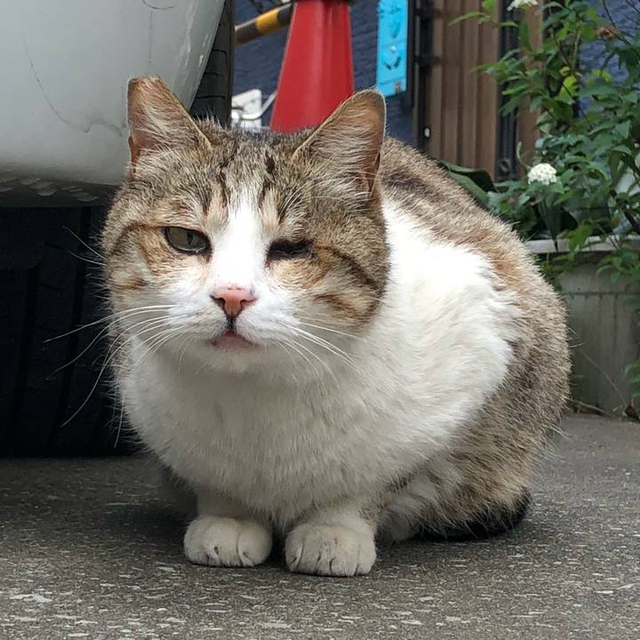 Ad776a59 19c6 401e 86be 4a5f4da5ebfa 1524067119114