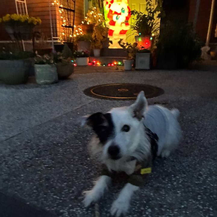 Ad77c1c0 a672 40e1 9f0d 4240583ce150 1765962244103