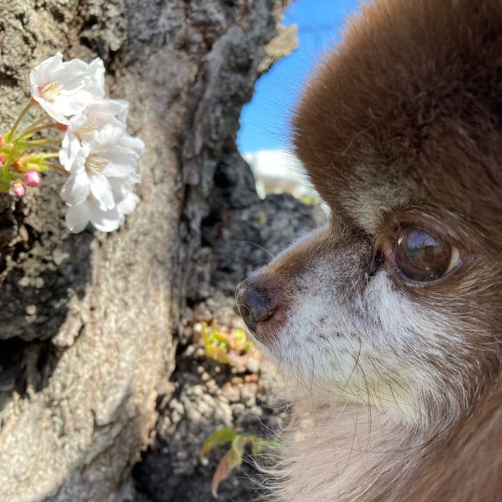 Ad77d64a 824e 4327 8dc6 13e7e694387c 1681777439309