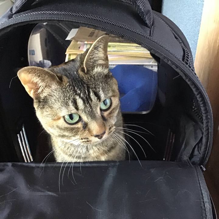 Ad77fef1 c817 4bee 949b 5260f5f89638 1713076518182