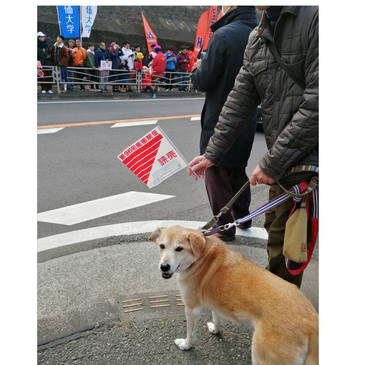 Ad7853b8 9cef 4192 ab64 7f88a21d497f 1577948325363