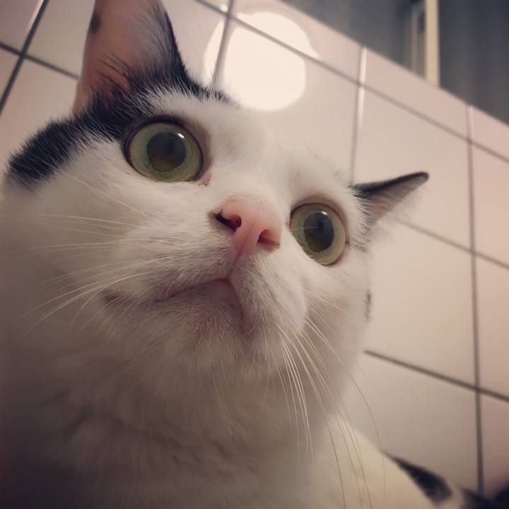 Ad7875ec 118a 454e b2e4 9365a993987e 1535898302513