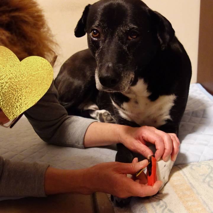 Ad789533 d725 43b9 bf5c e377ba072f78 1749600198107