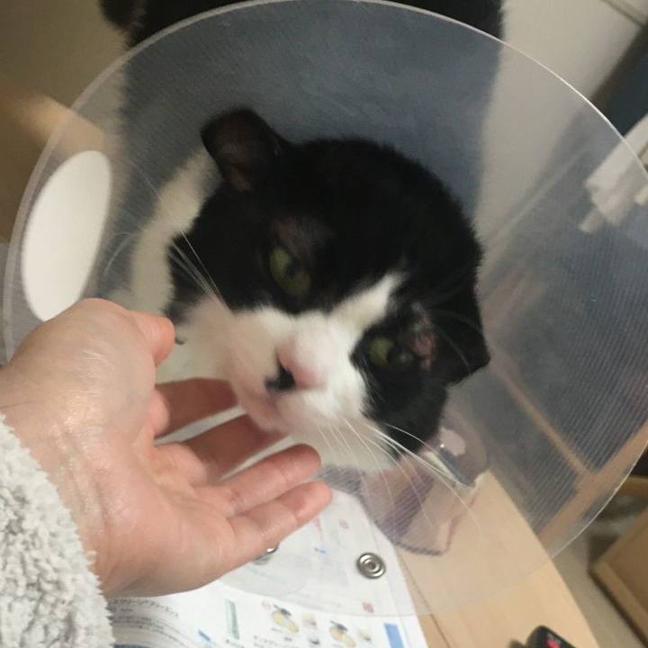 Ad7899cd 904d 4530 88be 651c2a90b5da 1589791785105