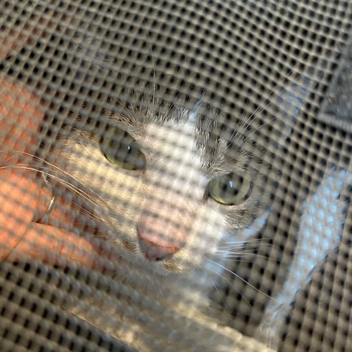 Ad78bede 2016 473a 86cc 8ad03dddf6a2 1774180038231