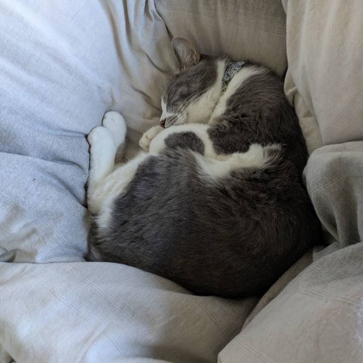 Ad78e64a 7284 4829 a4c6 84f96550b4ef 1761785677477