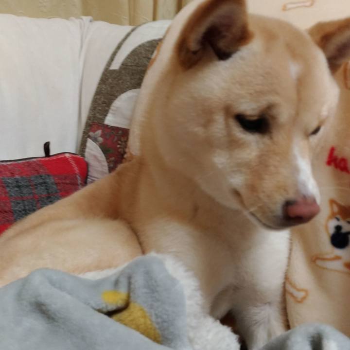 Ad790a81 d703 4b56 886c de4e66be88af 1515761301295