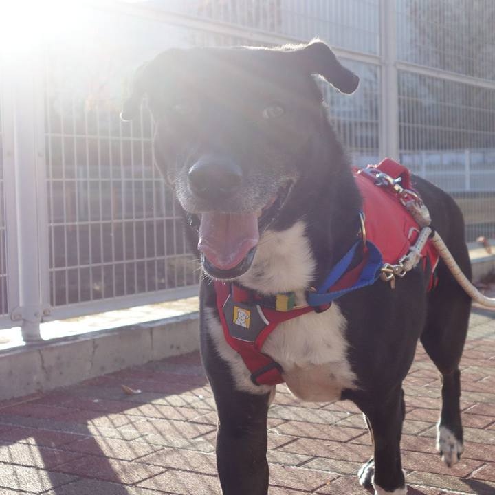 Ad792680 44b3 453d ad2b 30bf276d5ca0 1669080352955