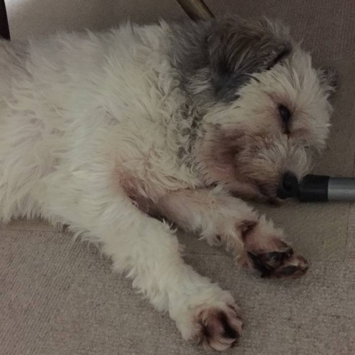 Ad794b41 f38e 4209 b12f 42f26ed7b849 1527394840985