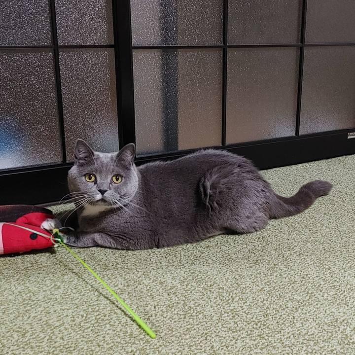 Ad7950e4 4a50 4587 8f48 5e942c089b6f 1674481485950