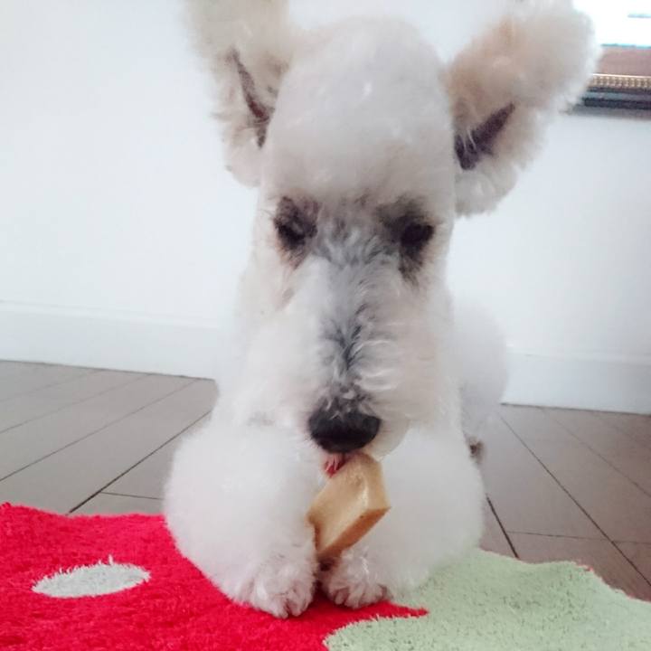 Ad795532 e28f 4238 a2e3 08cc5ebdafc3 1528689748929