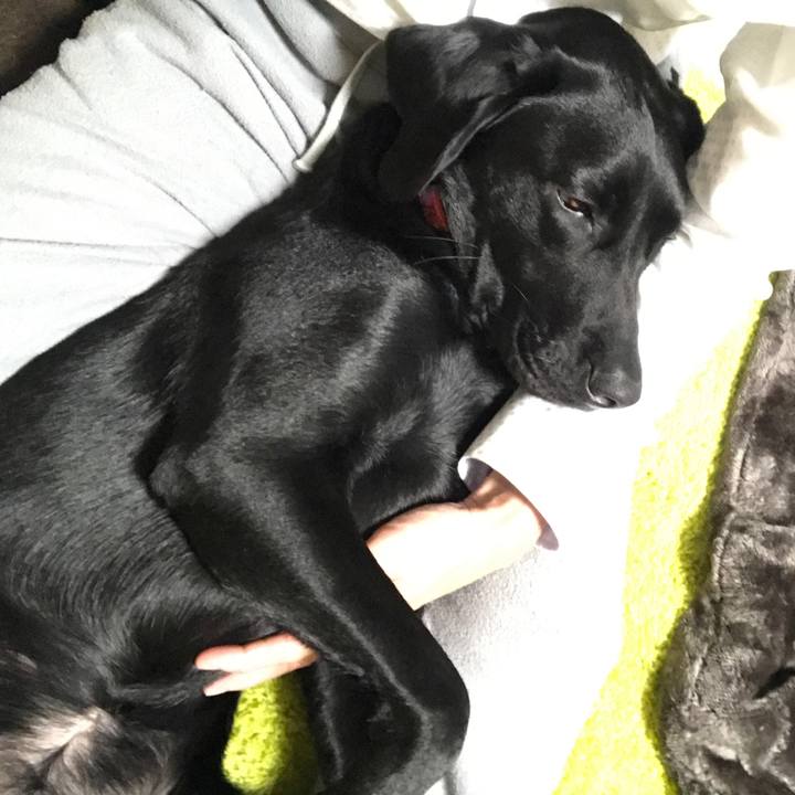 Ad796397 86c5 4f2d 81dd 487a3a65c9a0 1513337502032