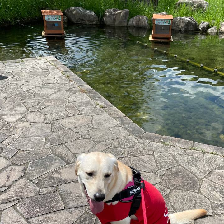 Ad797959 bcc9 4a68 88ea 9b53fe351a6f 1629369740566