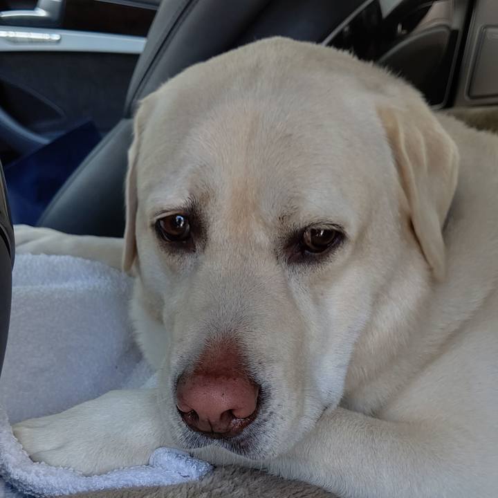 Ad799600 087c 4f77 9d01 ab457a764046 1656234643286