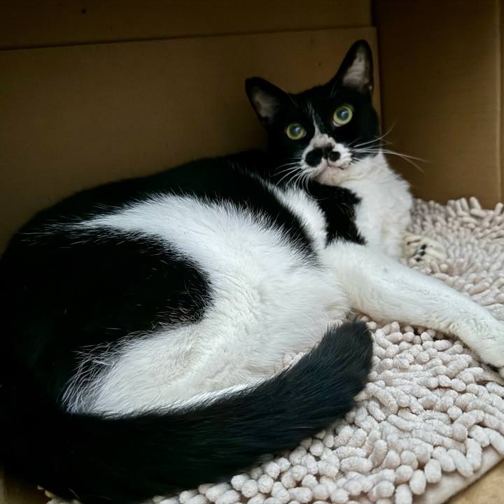 Ad79988e a199 4869 a623 de1cc5d4aa27 1720155071218