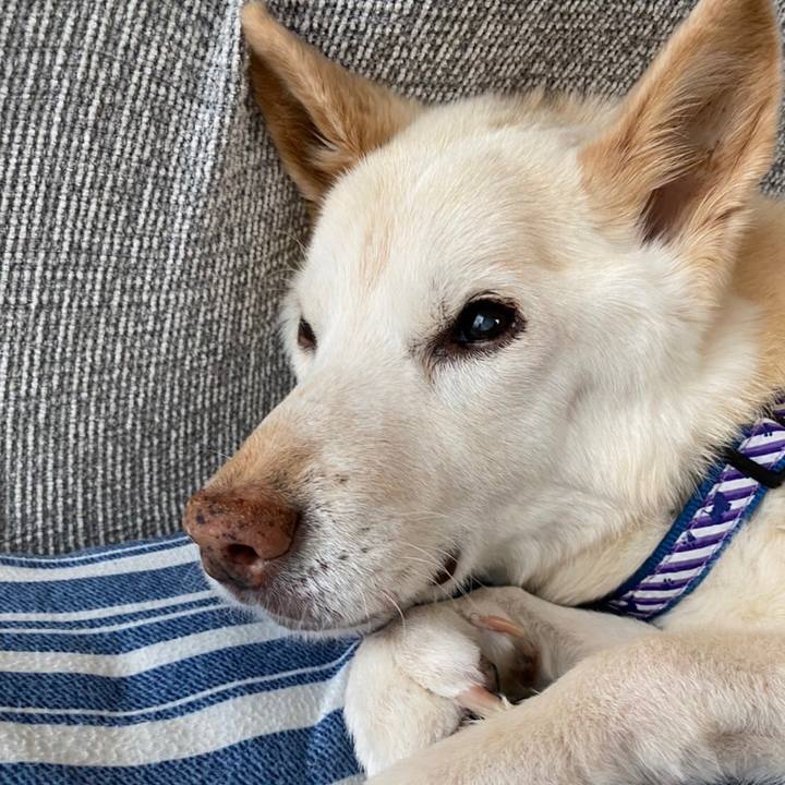 Ad79a2fd a4c5 49e6 9bee d03ed6528735 1653220082870