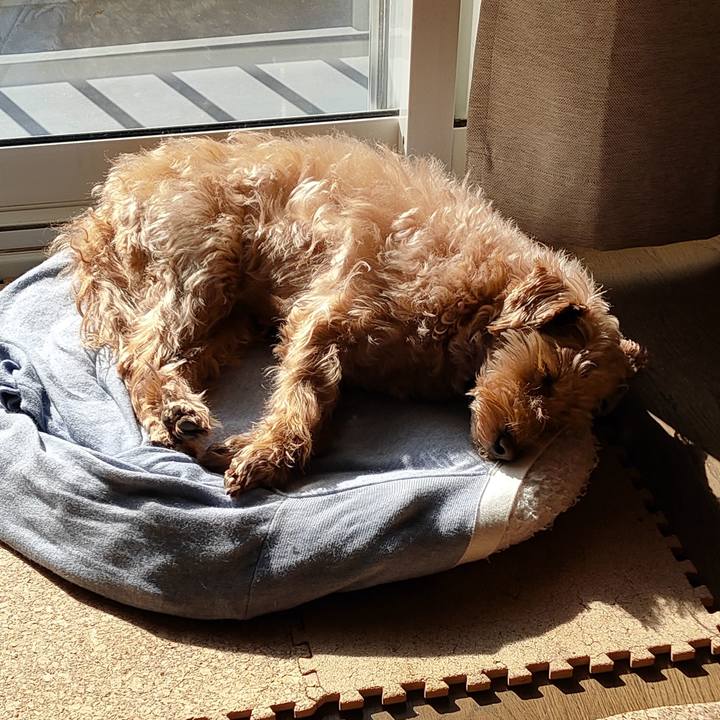 Ad79ab14 0c23 48ba 821b 5553cf9869ea 1586148818635