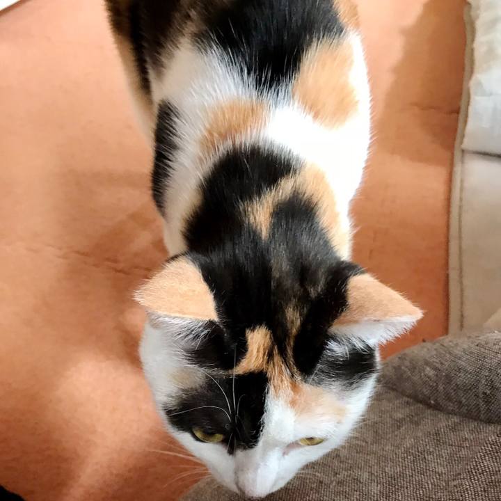 Ad79df5c 8508 4a94 9165 6508944258c0 1507684394143