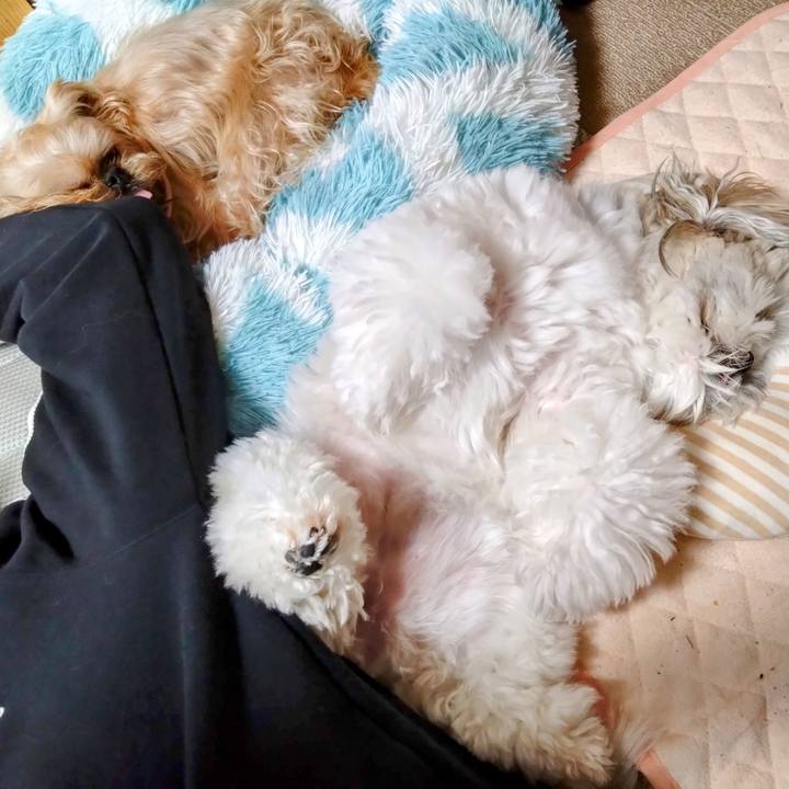 Ad79e2ec a6b8 4dc4 87f2 3dc58ea08ed7 1680401962275