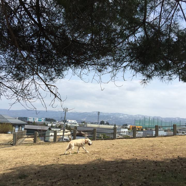 Ad79e617 c467 47ae 9e18 376d3014d196 1522970287325