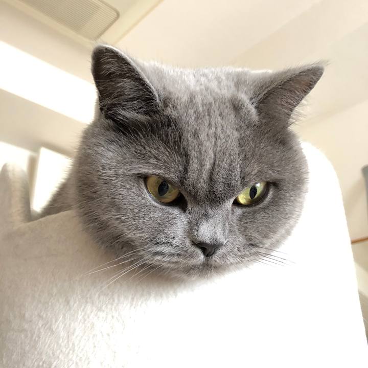 Ad7a1bb8 3cbc 4977 af75 7955bd4716a6 1513910223562