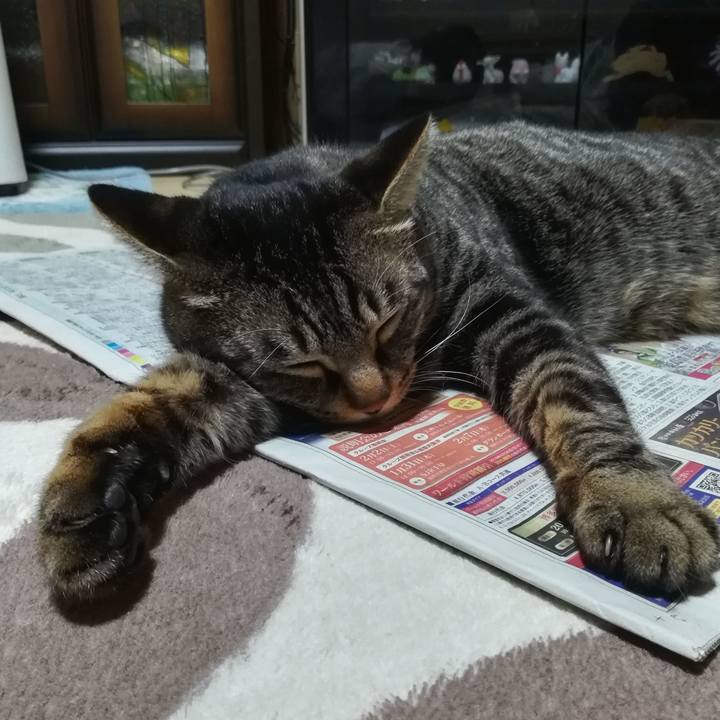 Ad7a2645 f926 4156 8472 0c0af12f69df 1548068769421