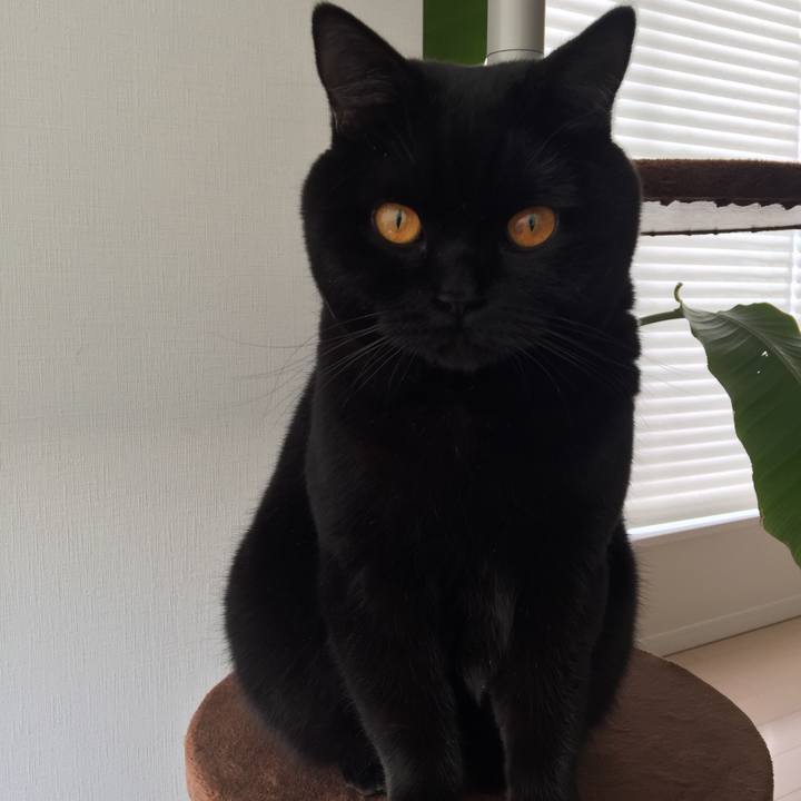 Ad7a3229 d6dd 4e6e 924a db8f13eff900 1517179699522