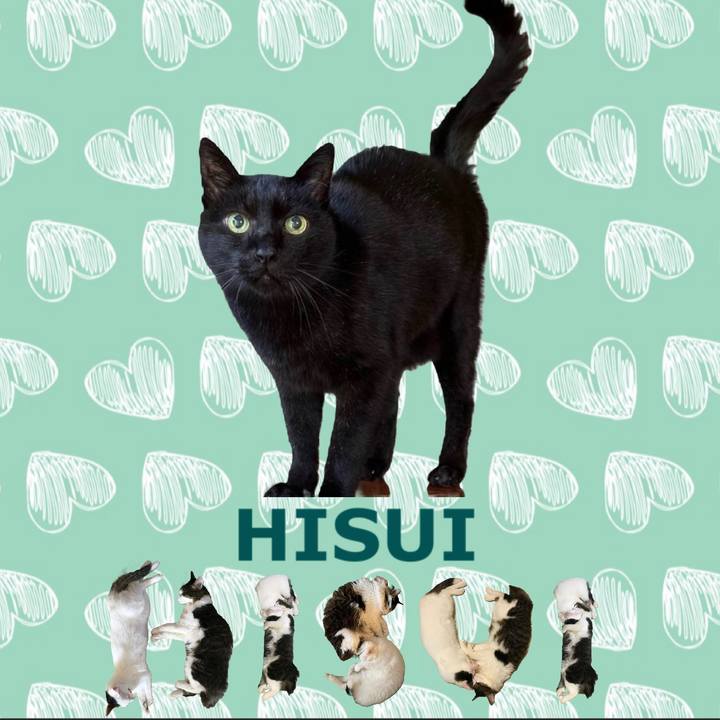 Ad7a4a3b 104d 4713 b0ba d75982f315c1 1668903084960