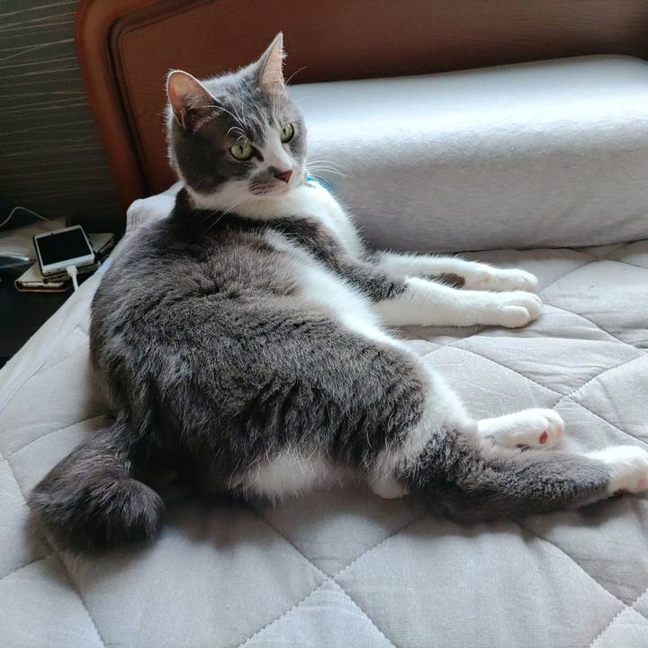 Ad7a805c d95d 4268 bc8d bf519ba02cde 1687989195686