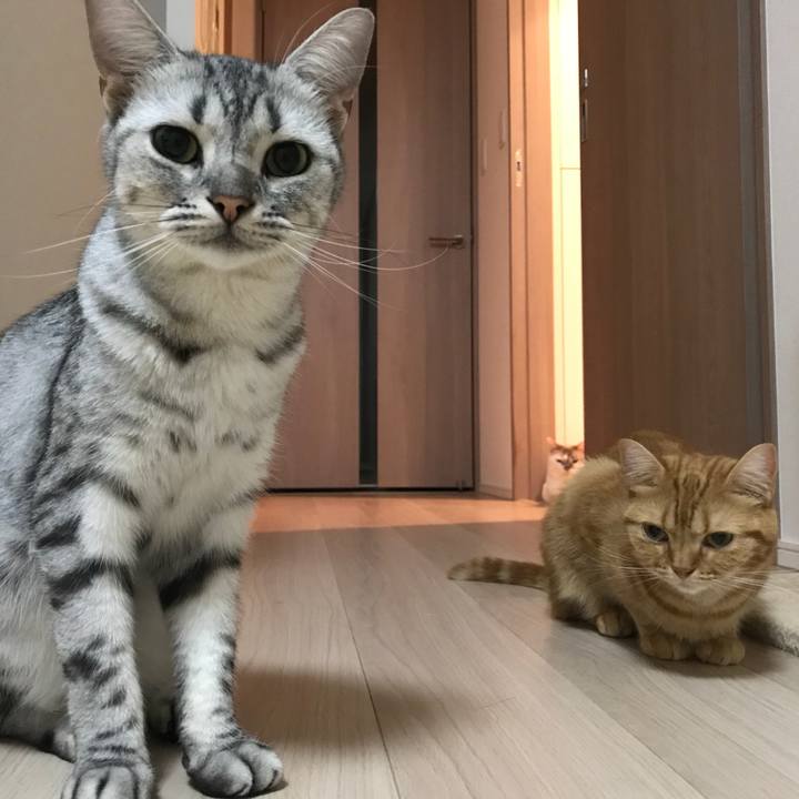 Ad7af4d1 a536 41b2 9c24 a117f85044c9 1537277273229